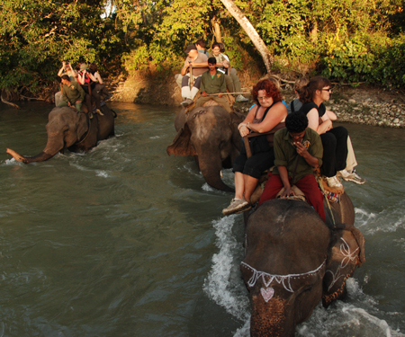 jungle safari in Nepal