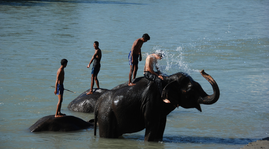 Glimpses of Nepal 08 days 