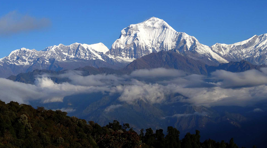 Dhauligiri Region Trekking